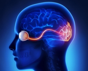 Ophthalmology Ophthalmology