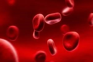 Haematology Haematology